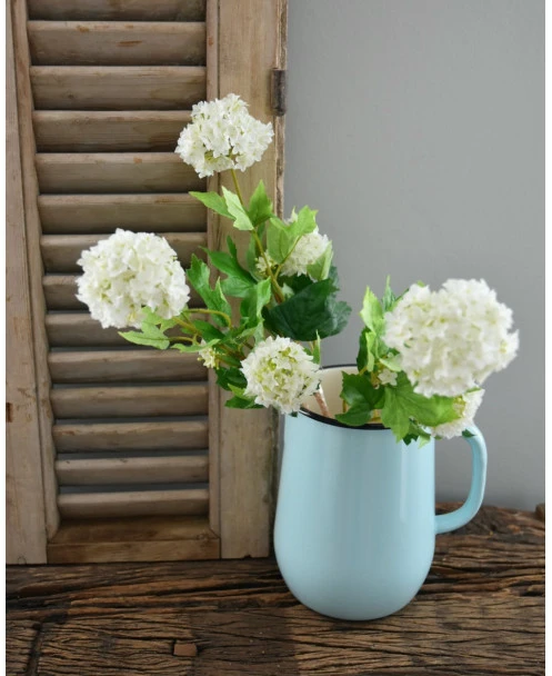 Sneeuwbal, Viburnum Tak - Afbeelding 2