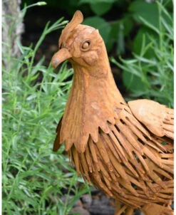 Tuinvogel In 3D De Fazant