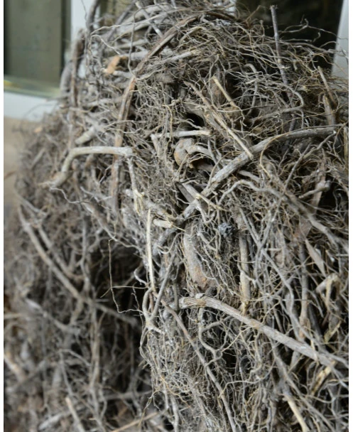 White Wash Krans Van Takken En Wortels - Afbeelding 4